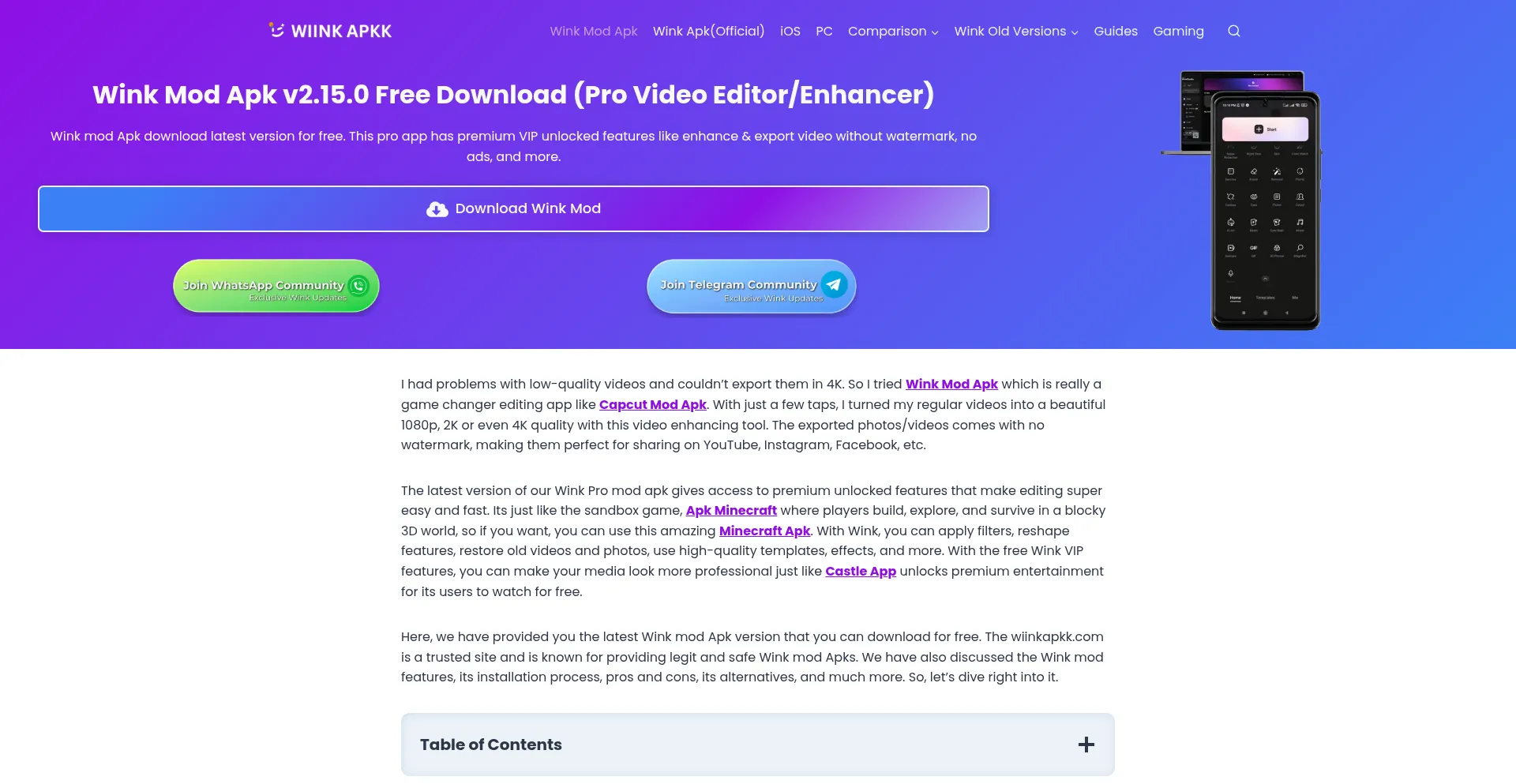 Website screenshot of Wiinkapkk.com