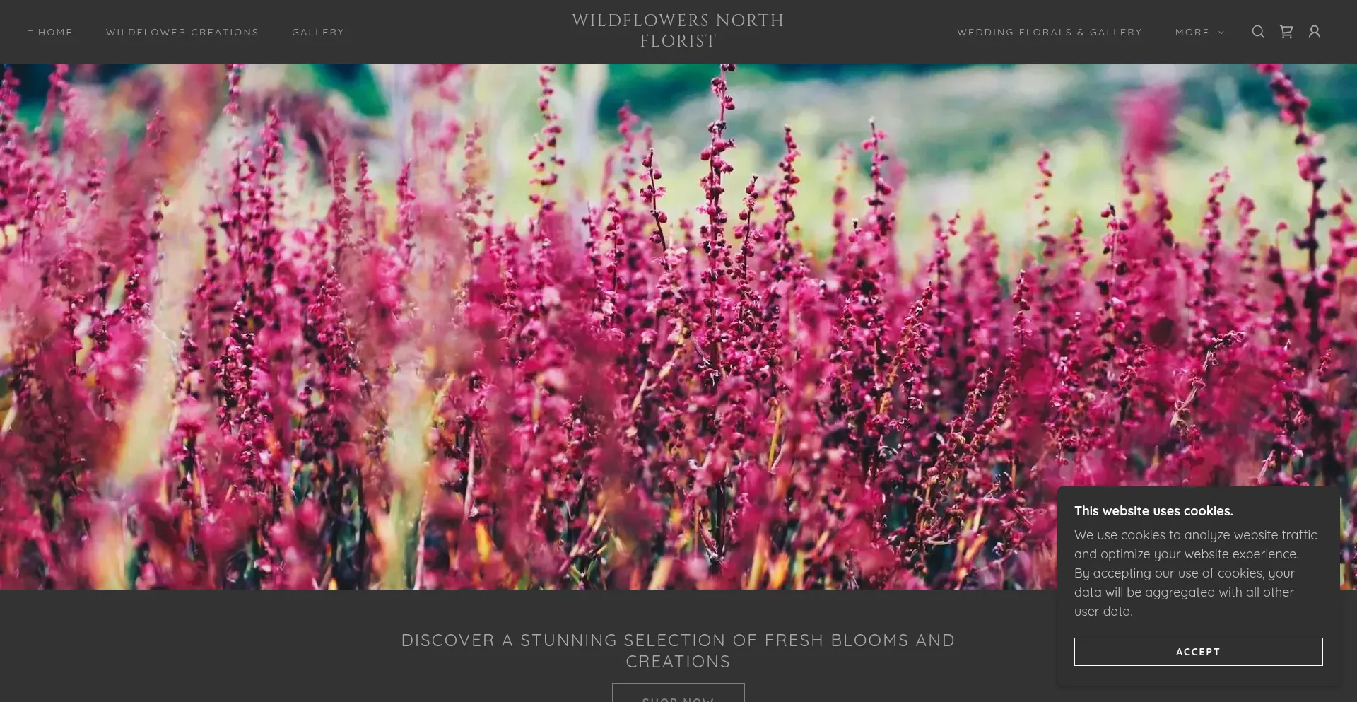 Website screenshot of Wildflowersnorth.com