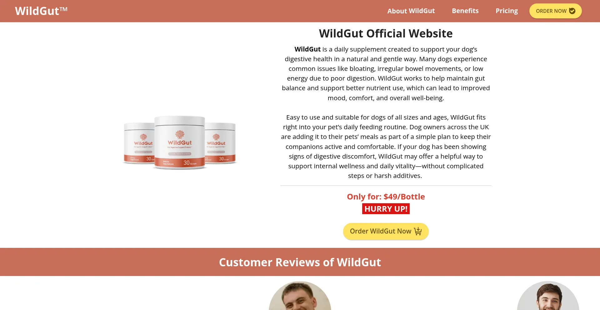 Website screenshot of Wildgut.uk