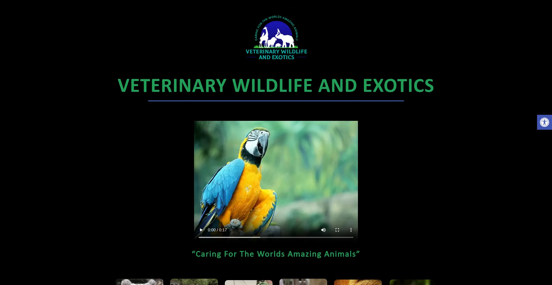 Wildlifedvm.com