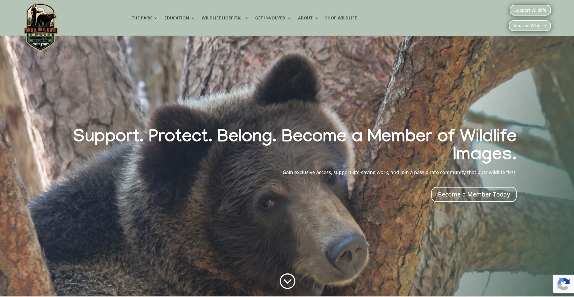 Wildlifeimages.org