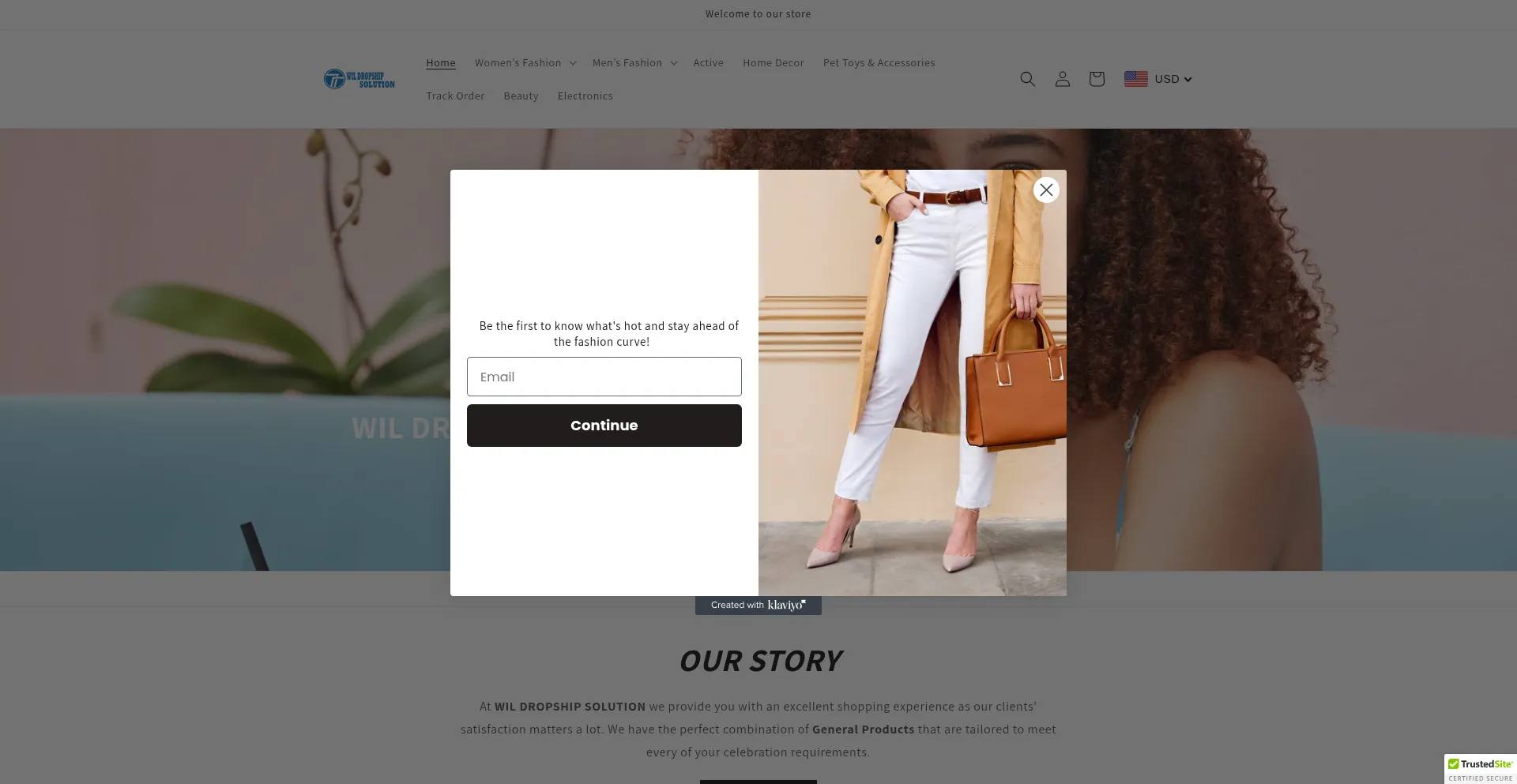 Wildropshipsolution.com
