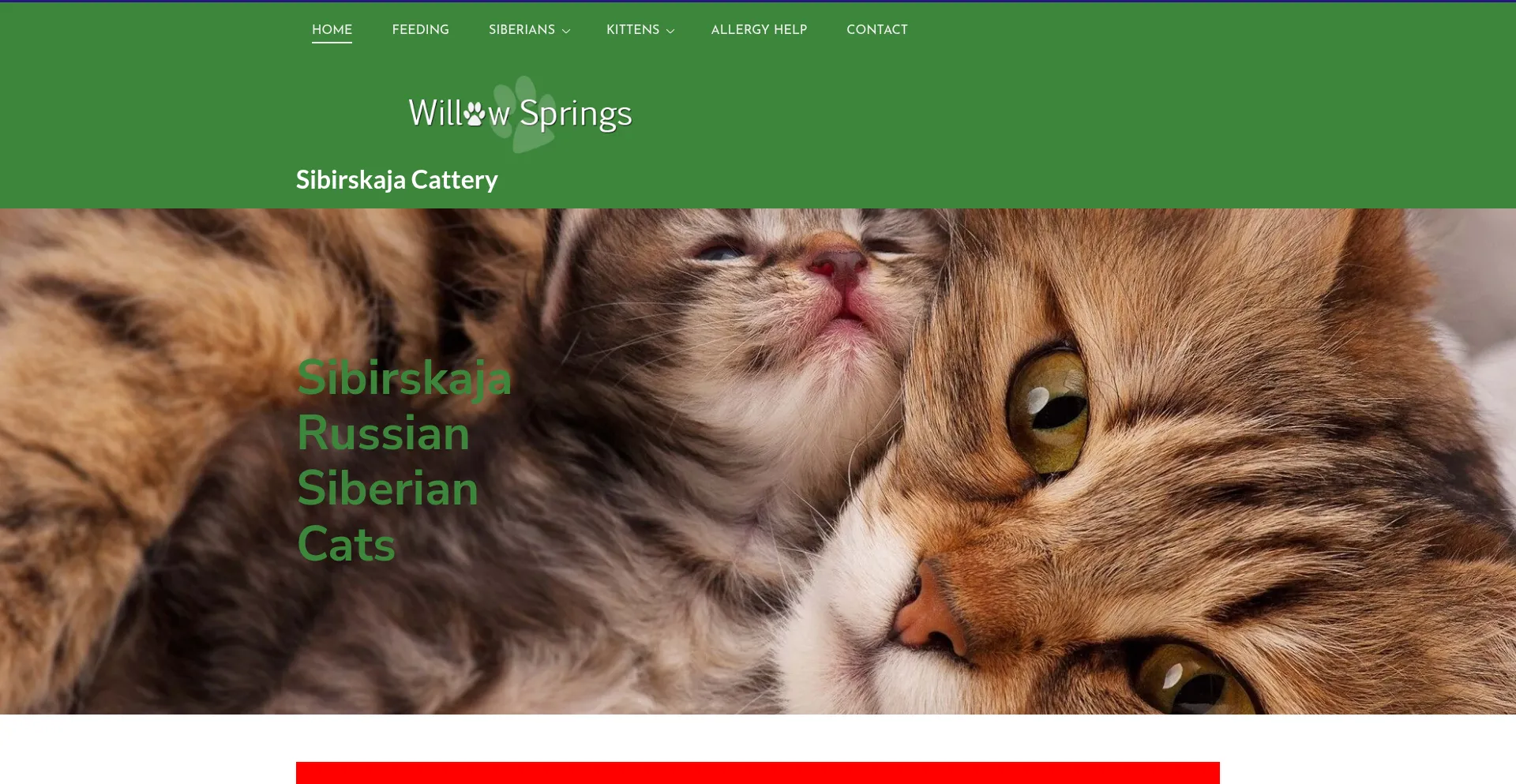 Willowspringspa.com