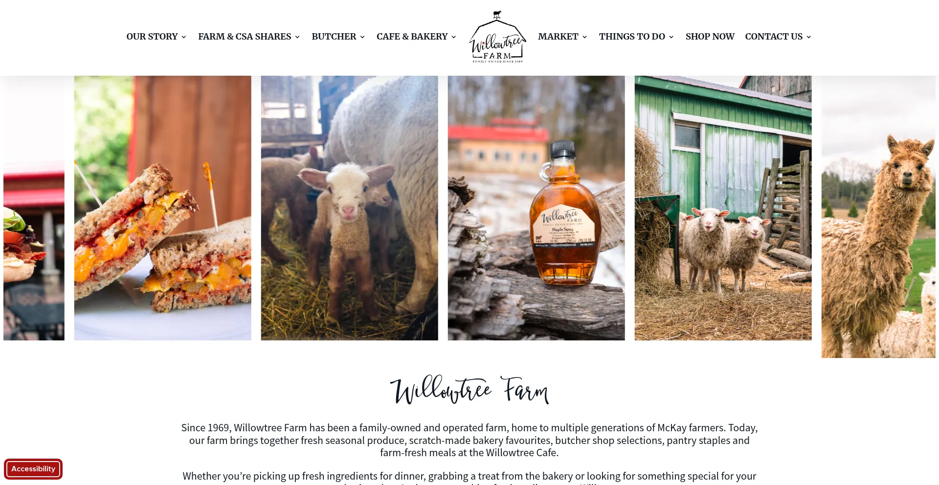 Willowtreefarm.ca