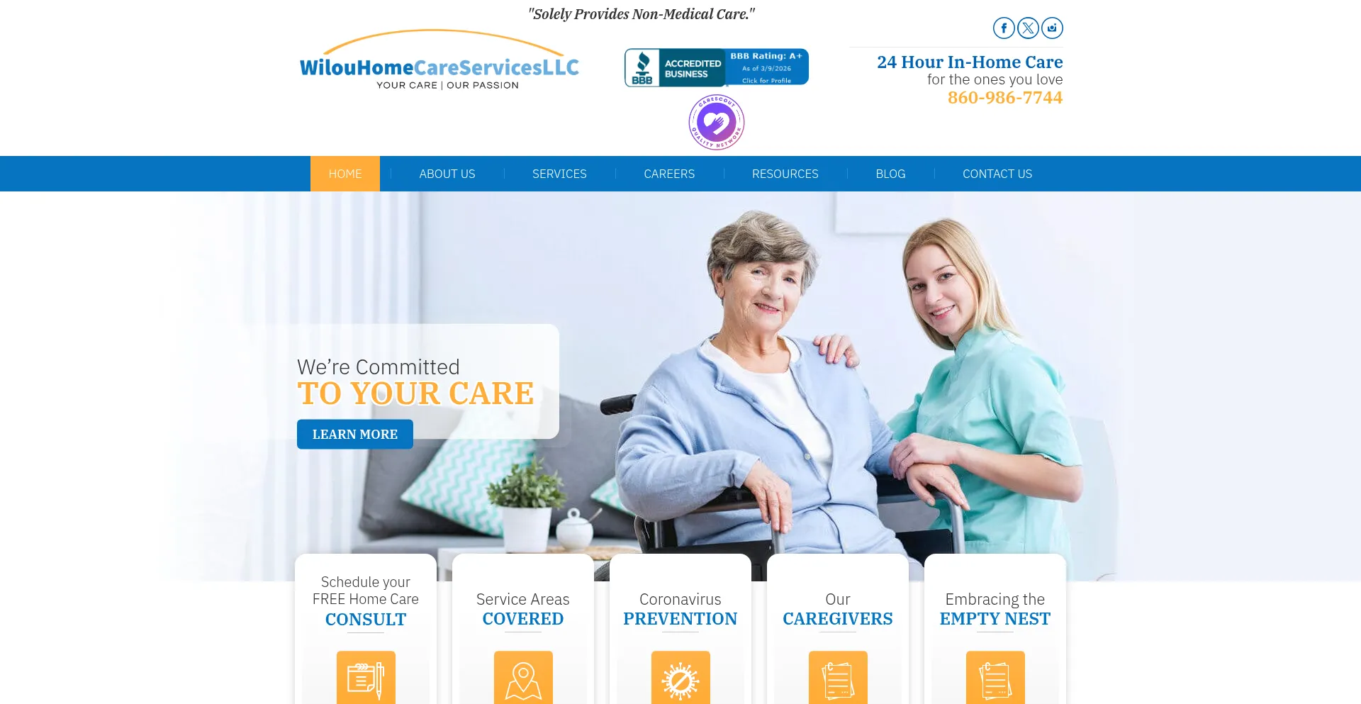 Wilouhomecareservices.com