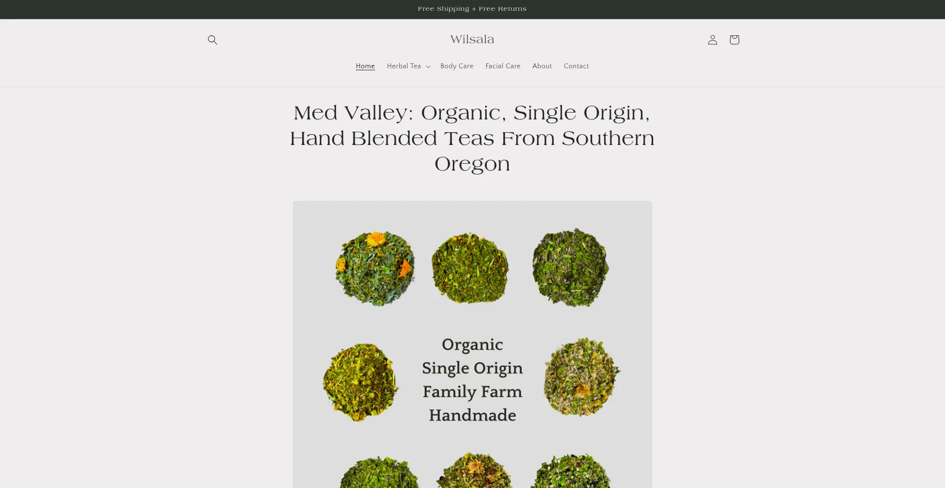 Website screenshot of Wilsala.com