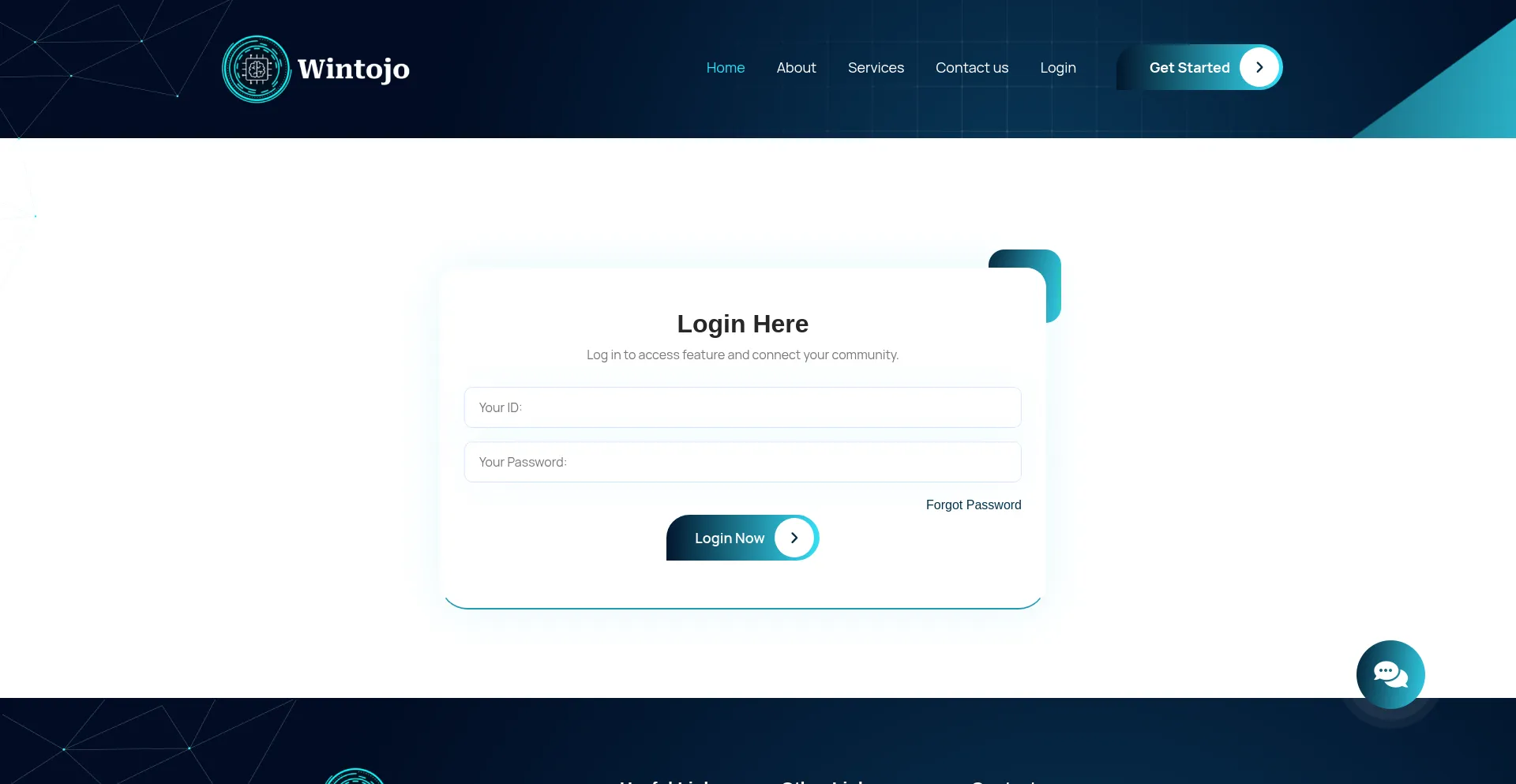 Website screenshot of Wintojo.com