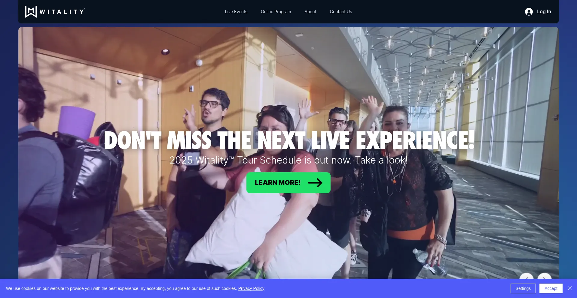 Website screenshot of Witality.co
