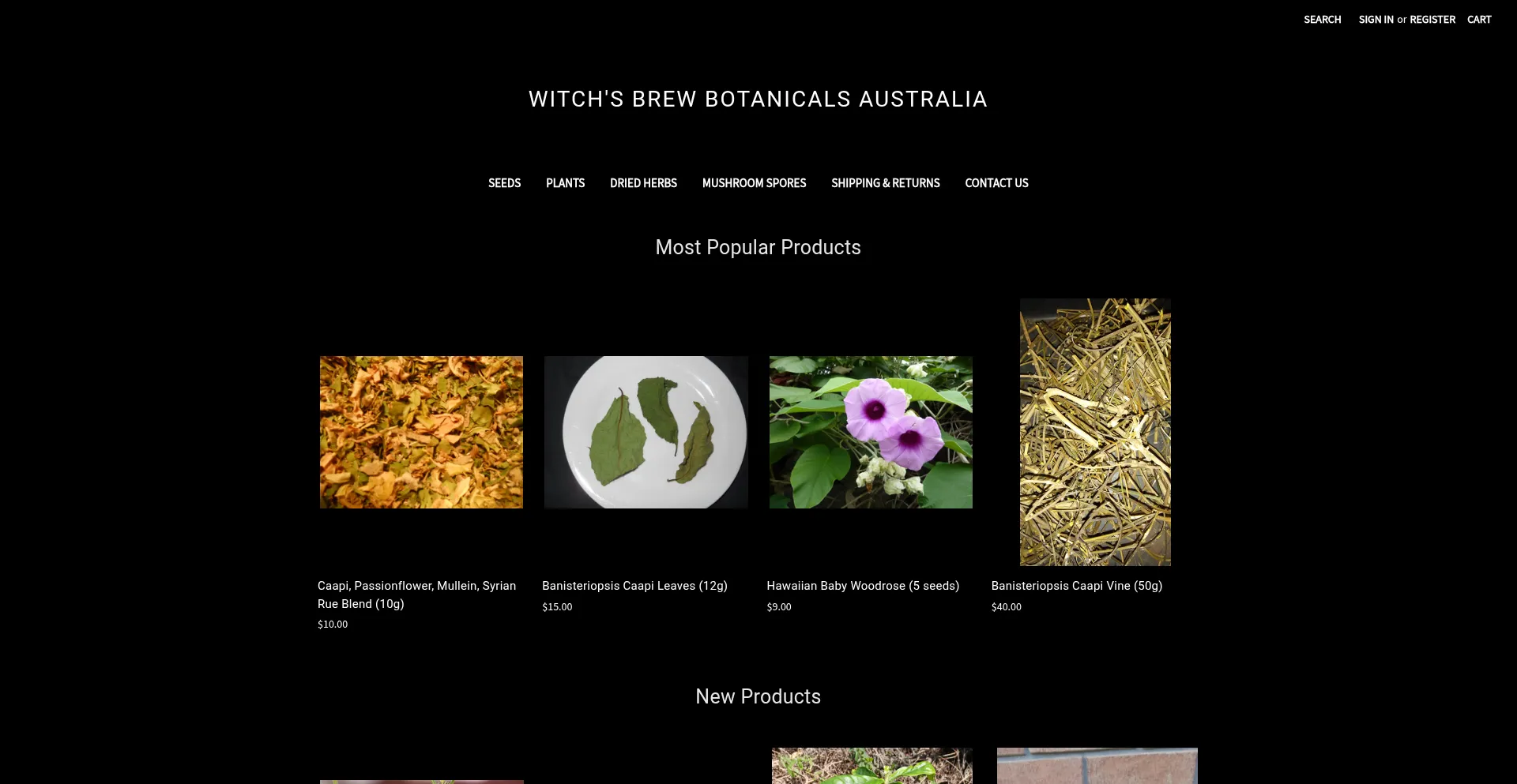 Website screenshot of Witchbrewaustralia.com