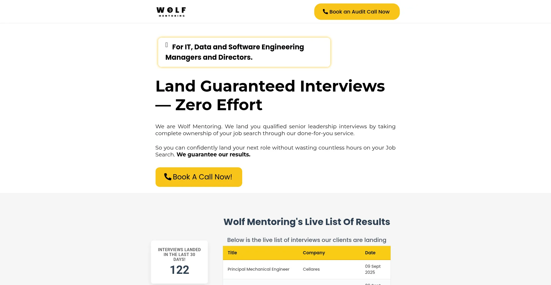 Website screenshot of Wolfmentoring.com