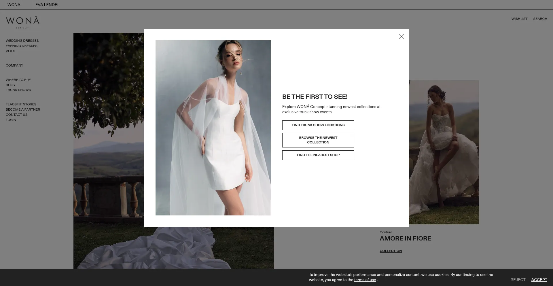 Website screenshot of Wonaconcept.com