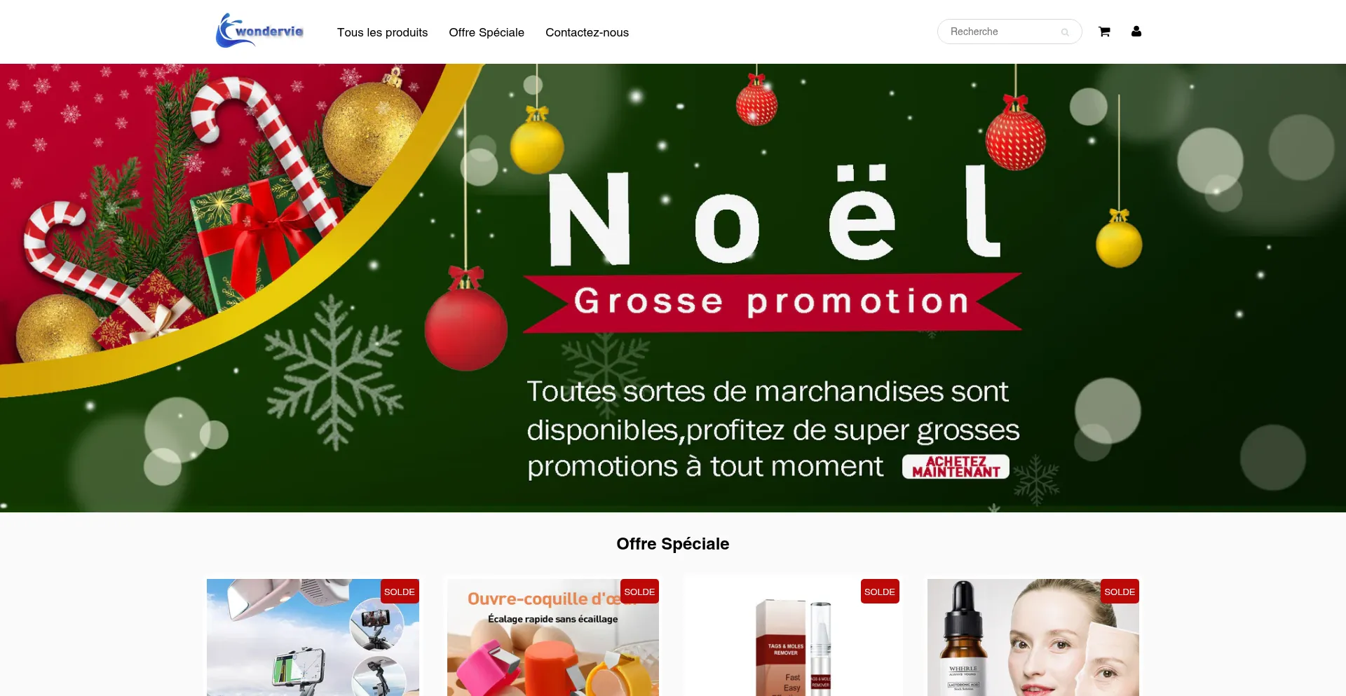 Website screenshot of Wondervie.com
