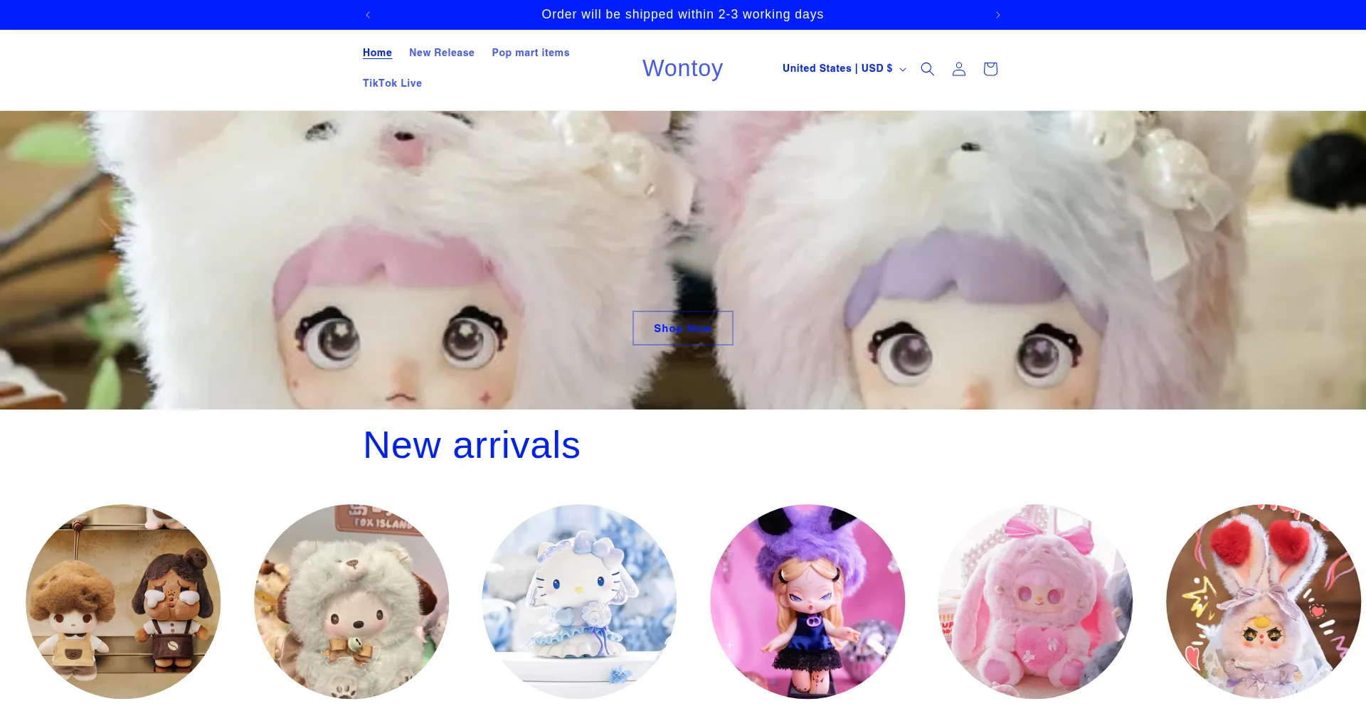 Website screenshot of Wontoy.myshopify.com