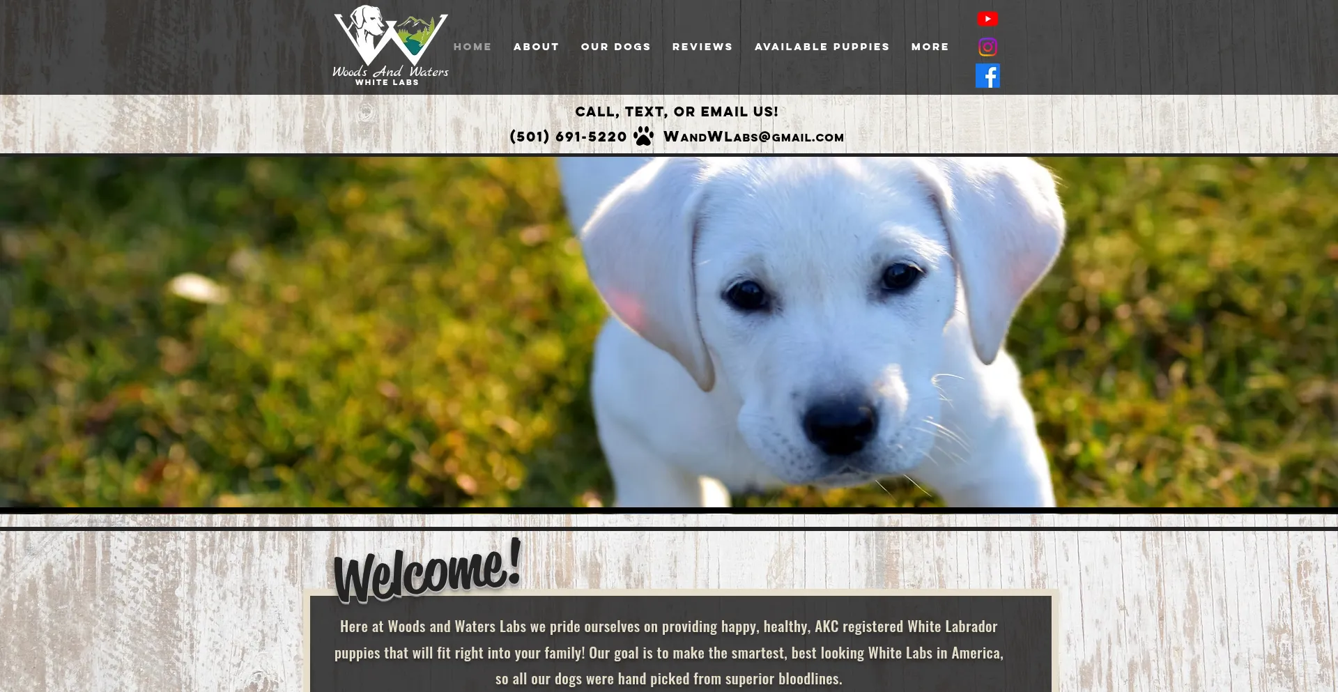 Website screenshot of Woodsandwaterslabs.com