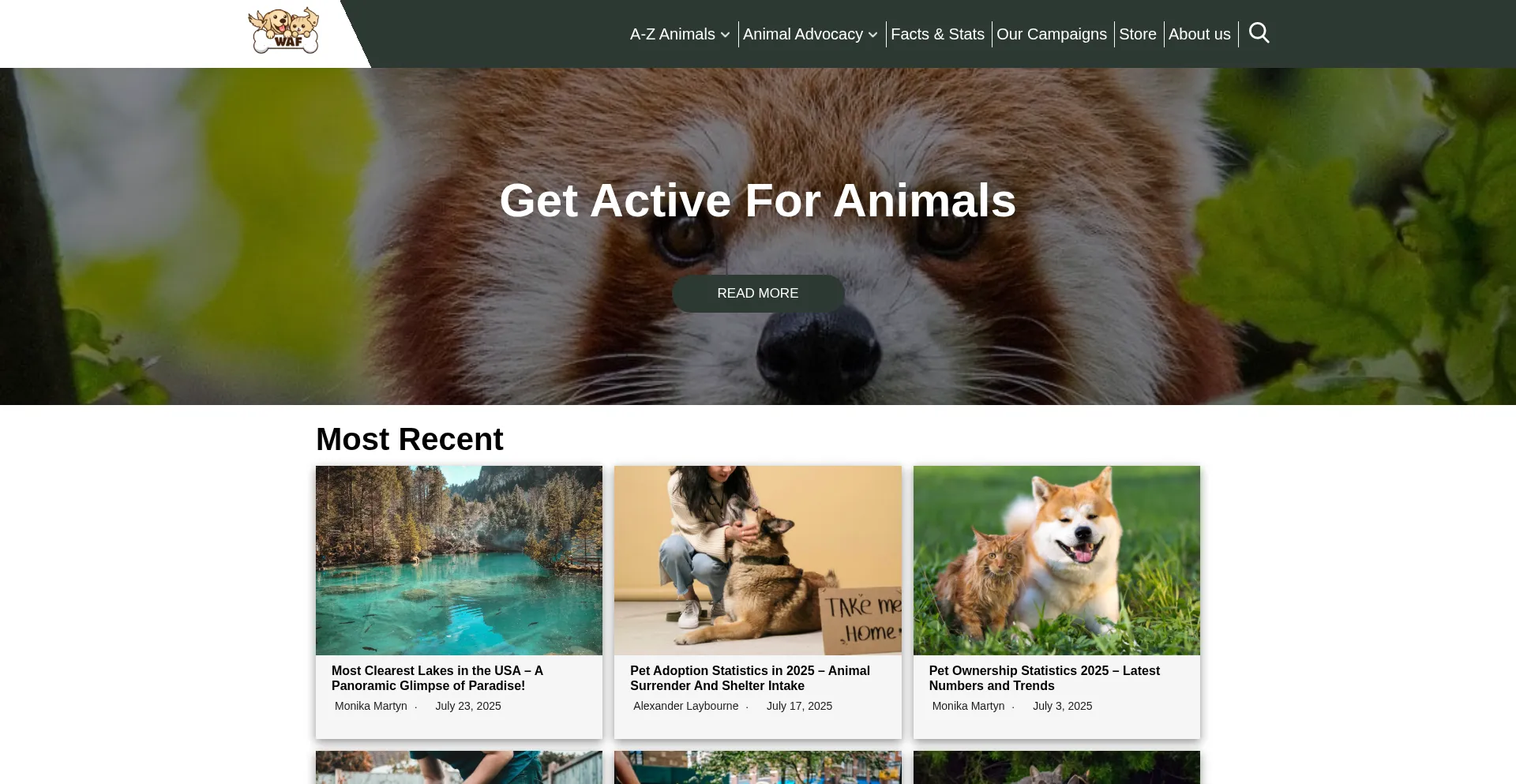 Website screenshot of Worldanimalfoundation.org