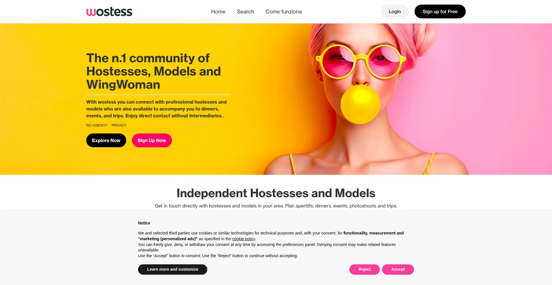 Website screenshot of Wostess.com