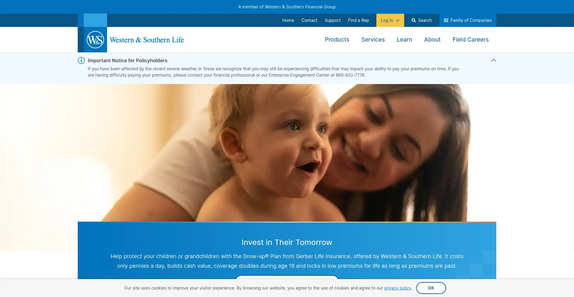 Website screenshot of Wslife.com