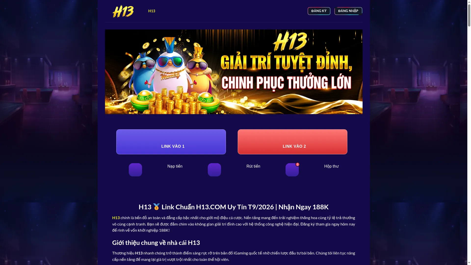 Www-h13.com