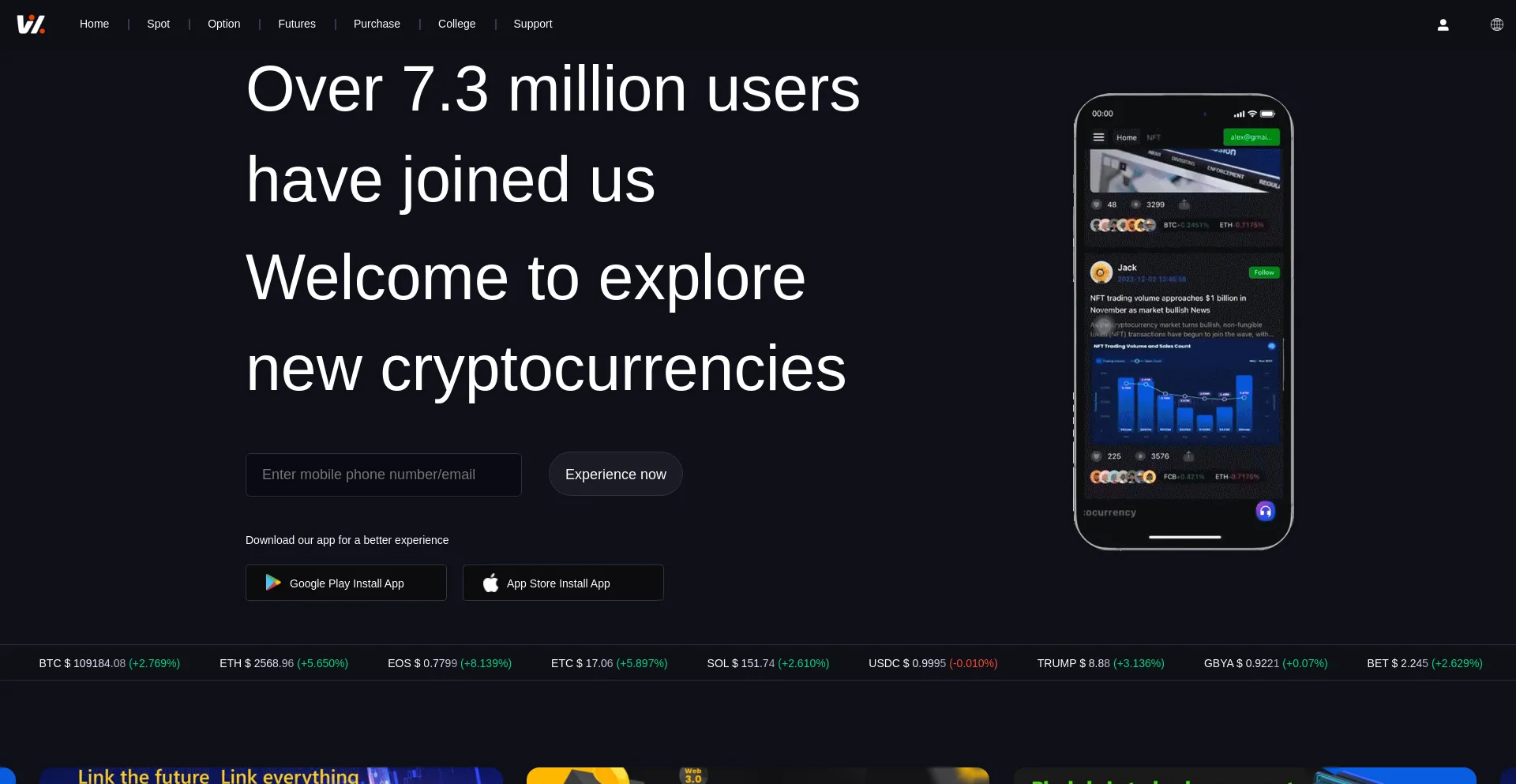 Website screenshot of Wzcoin.com