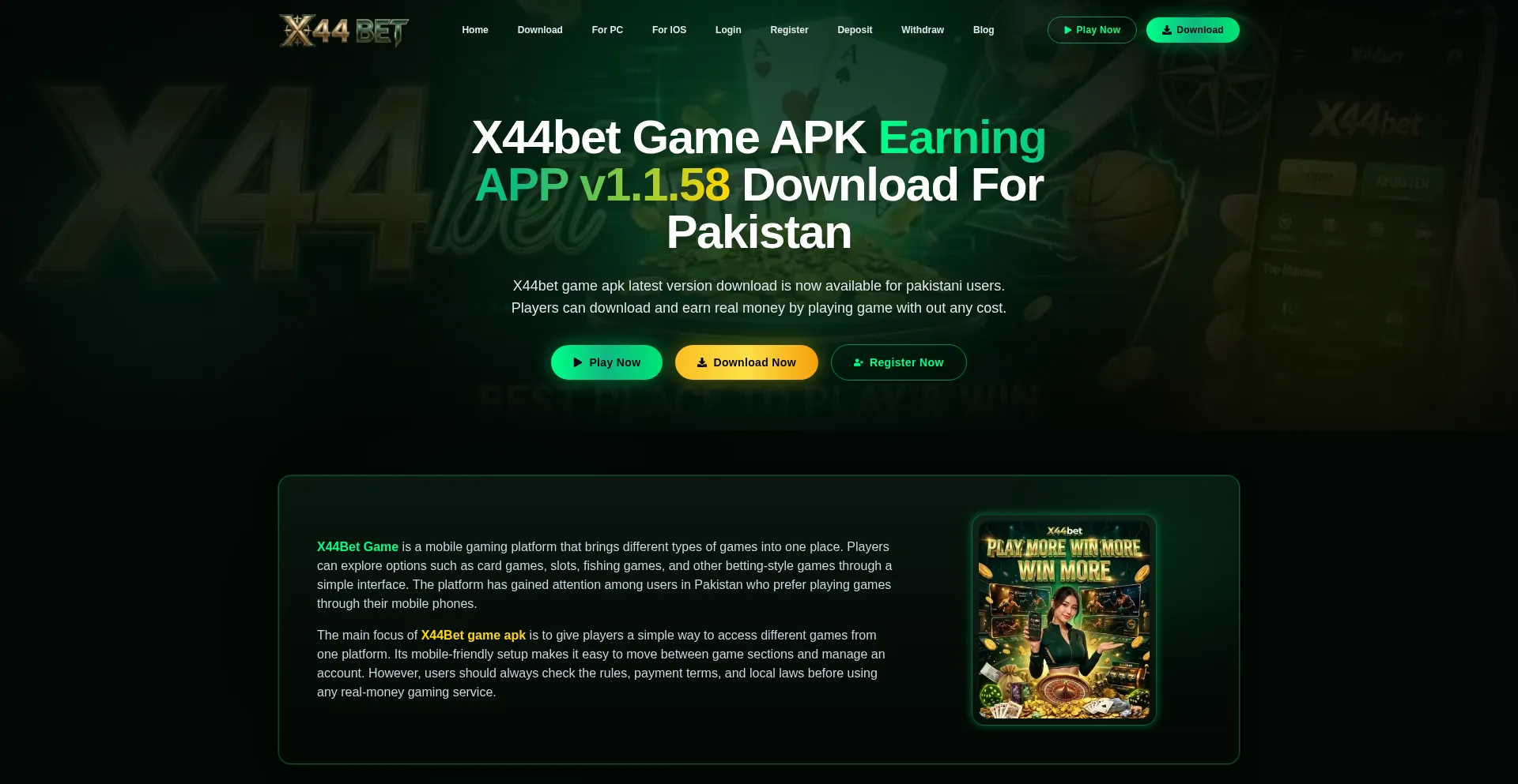 X44bet.site