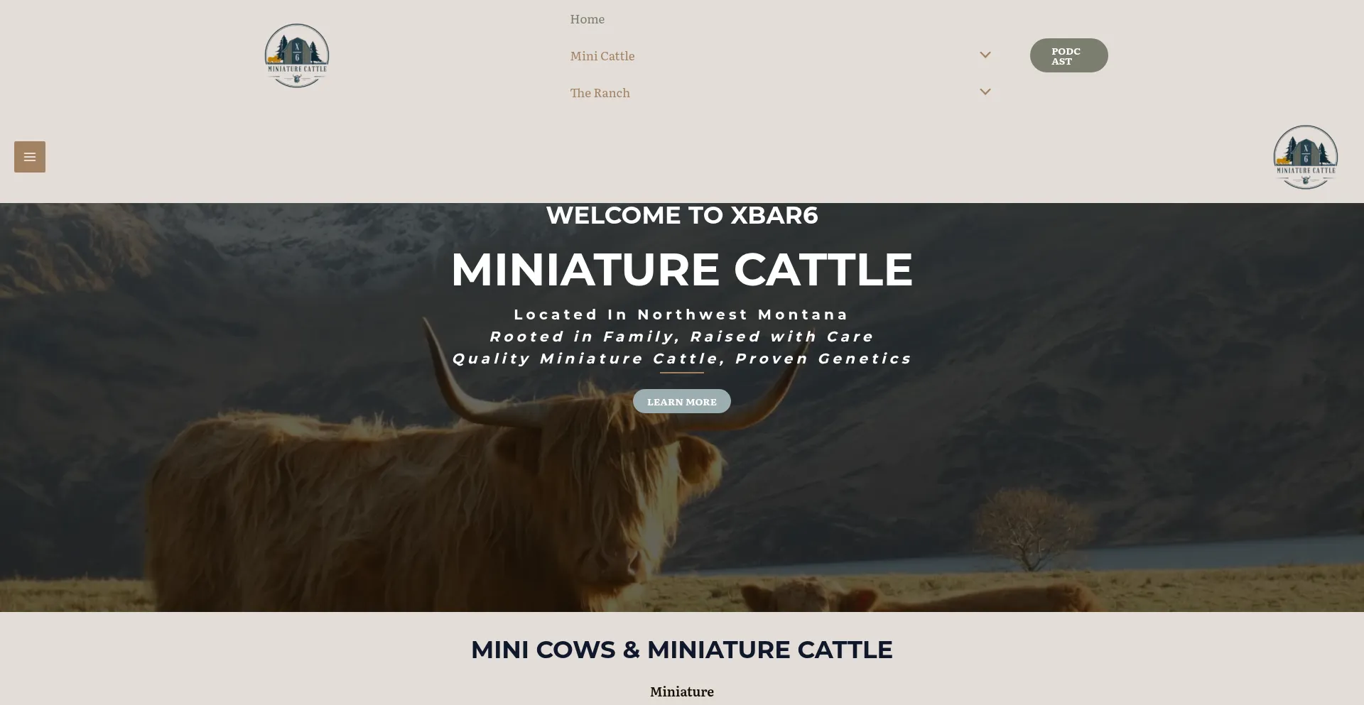 Xbar6minicattle.com