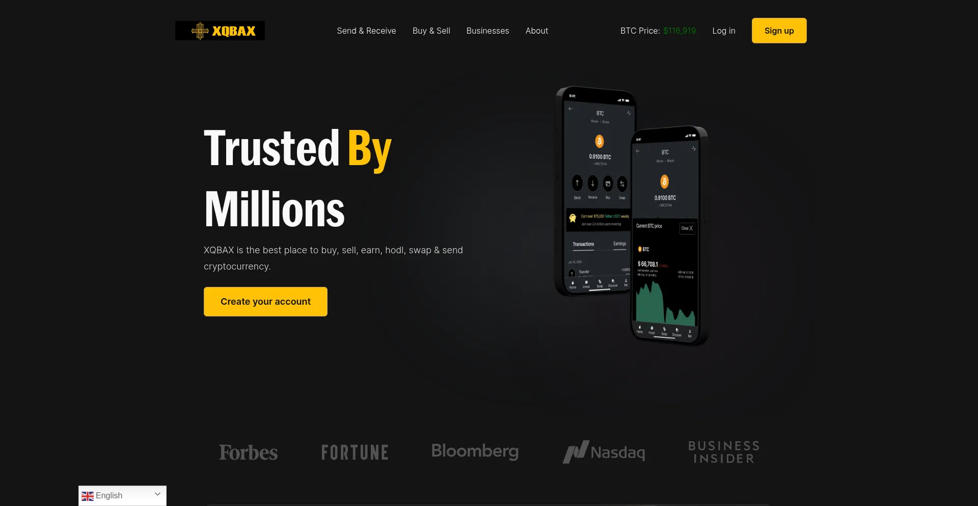 Website screenshot of Xqbax.net