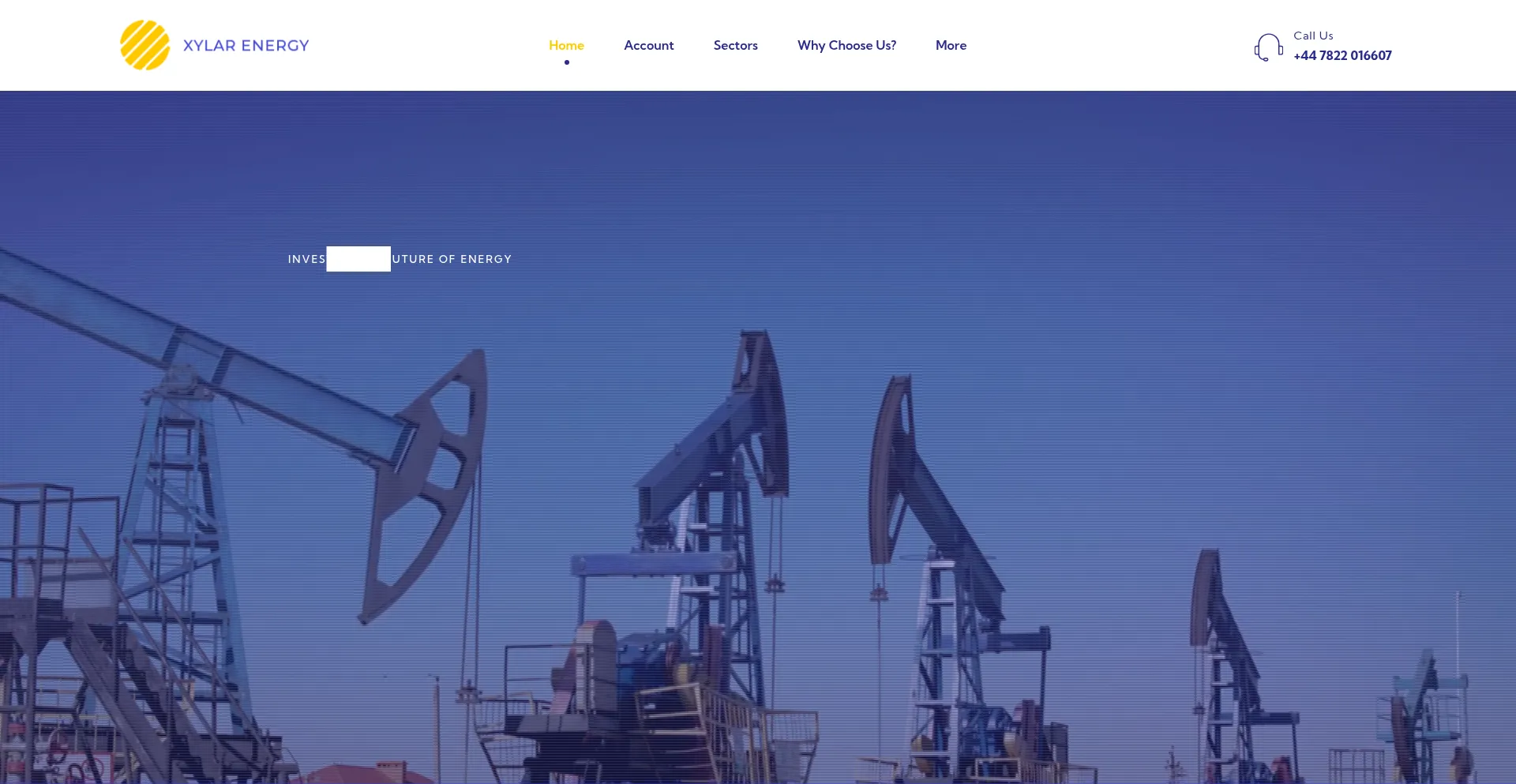 Website screenshot of Xylarenergy.com