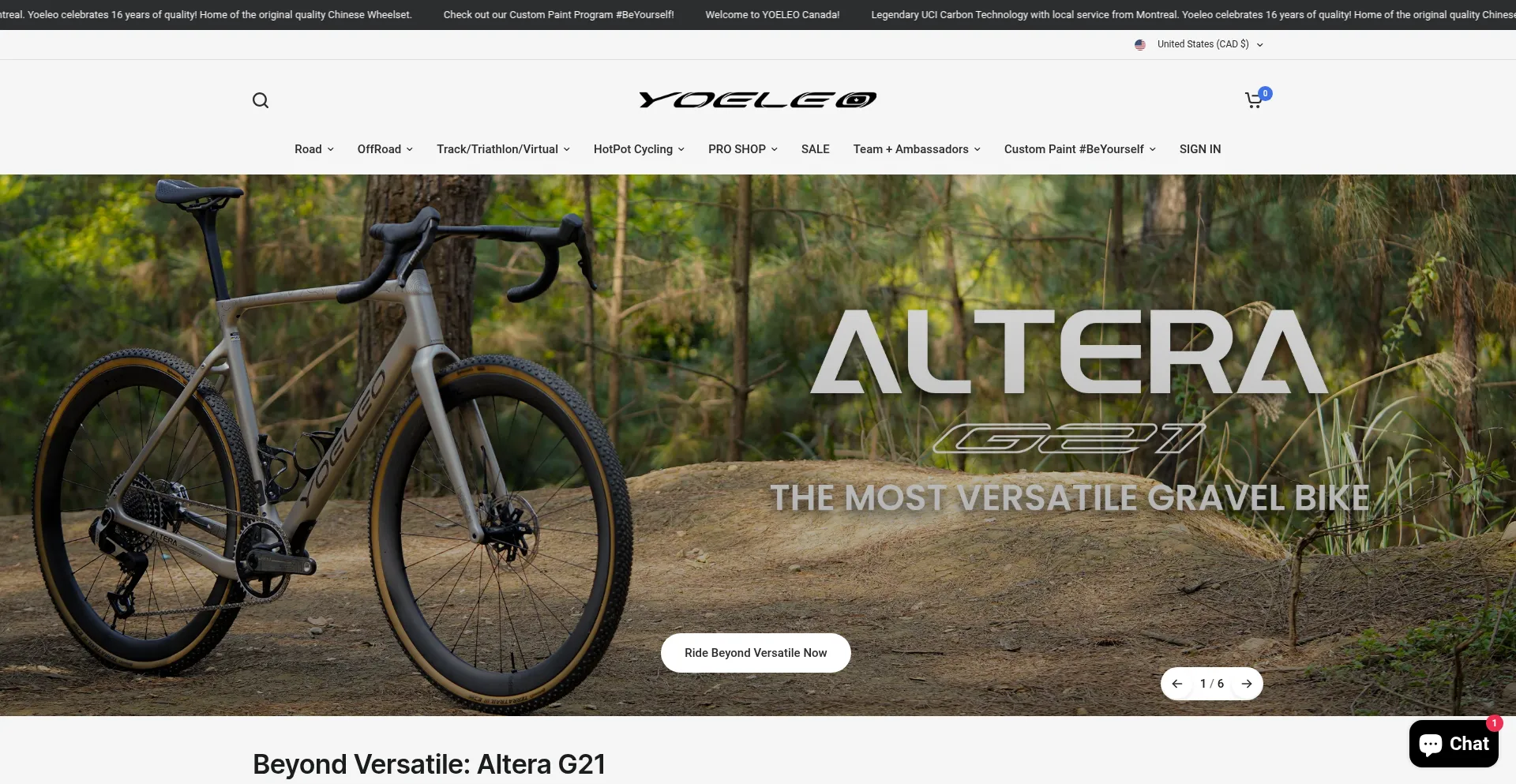 Yoeleocanada.com