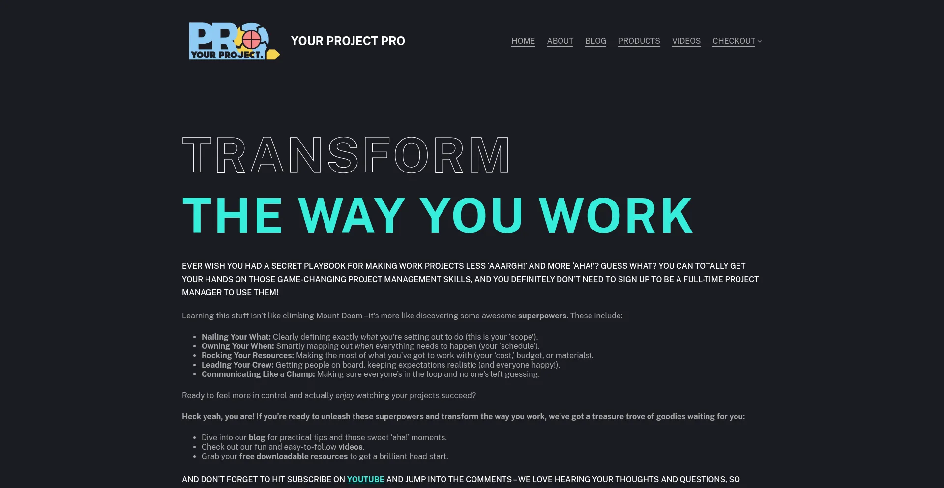 Website screenshot of Yourprojectpro.com