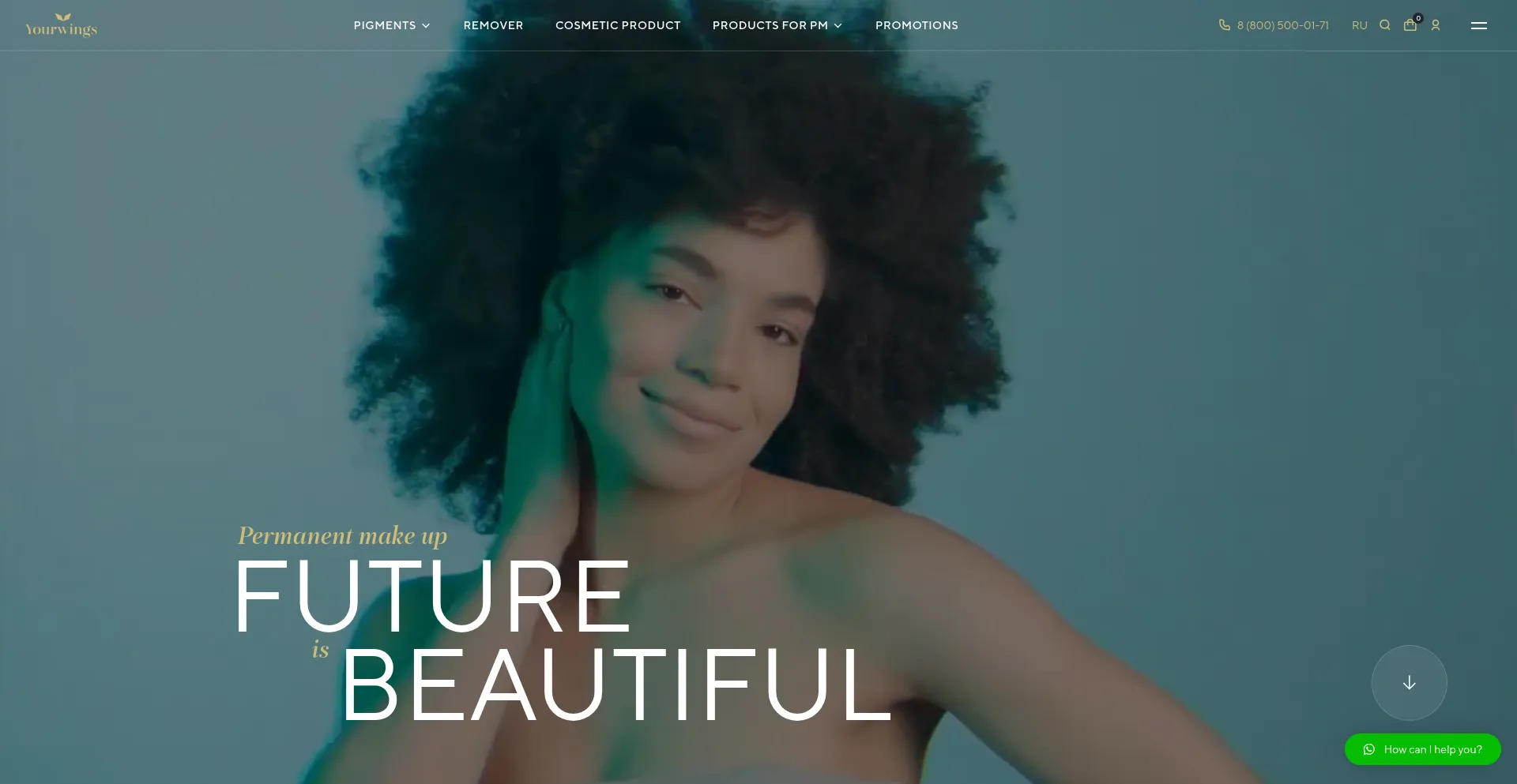 Website screenshot of Yourwingshop.com