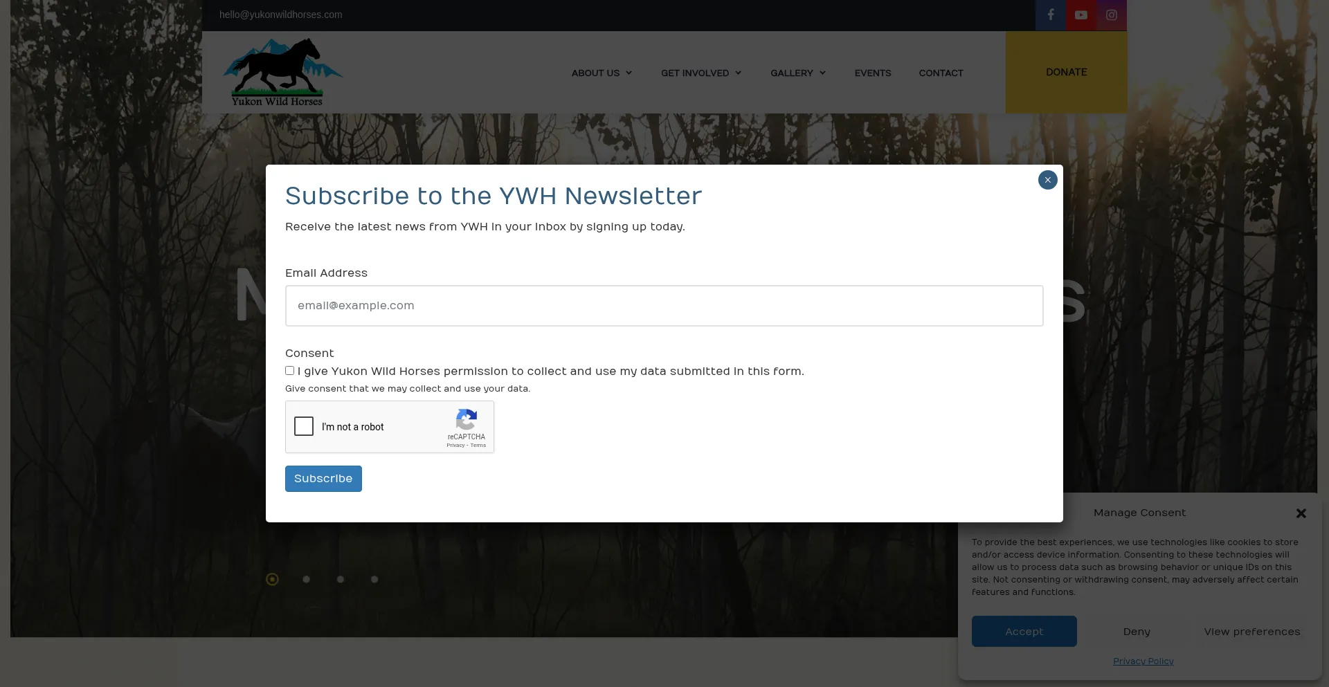 Yukonwildhorses.com