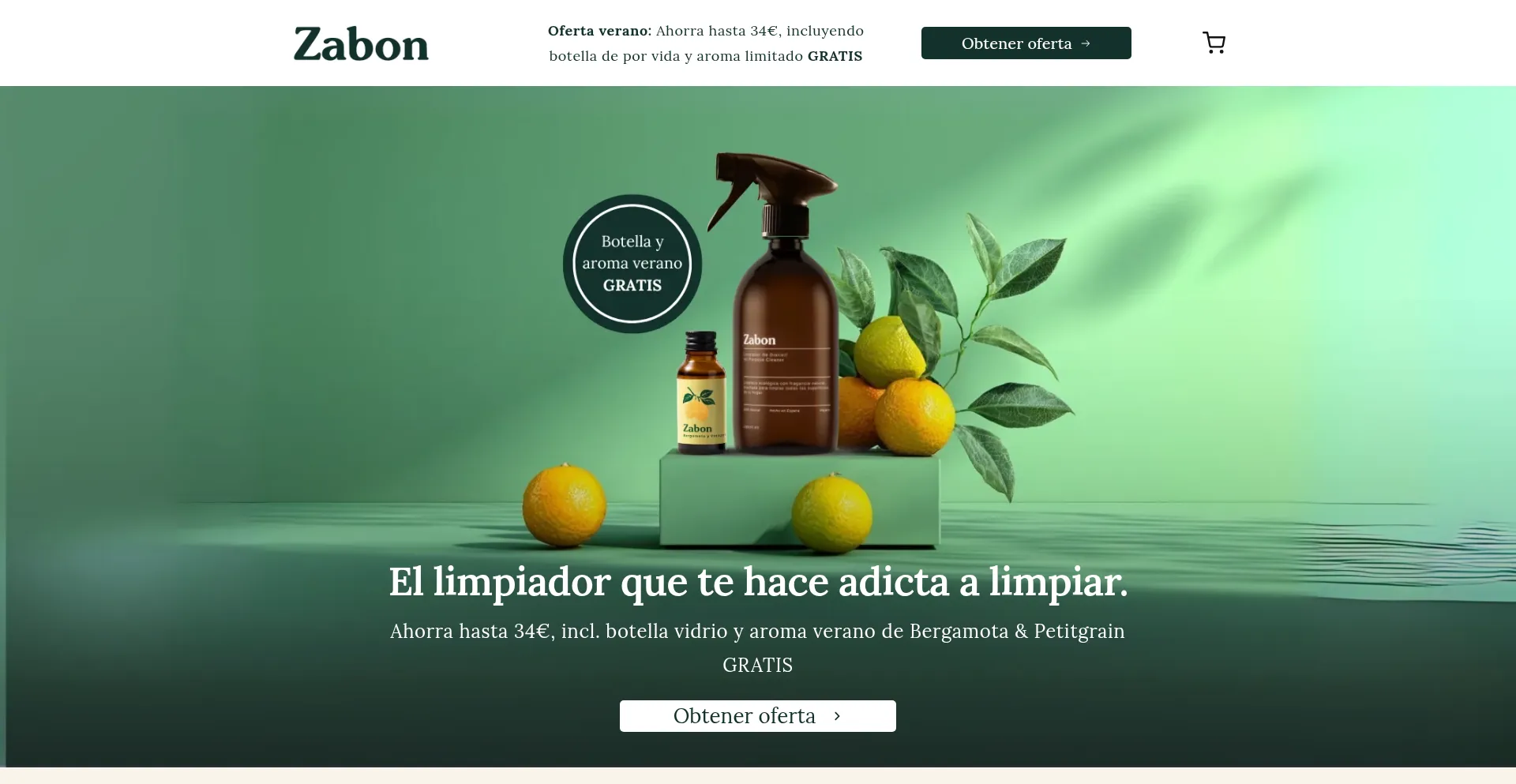 Website screenshot of Zabon.es