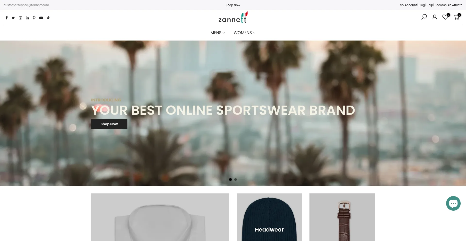 Website screenshot of Zanneft.com
