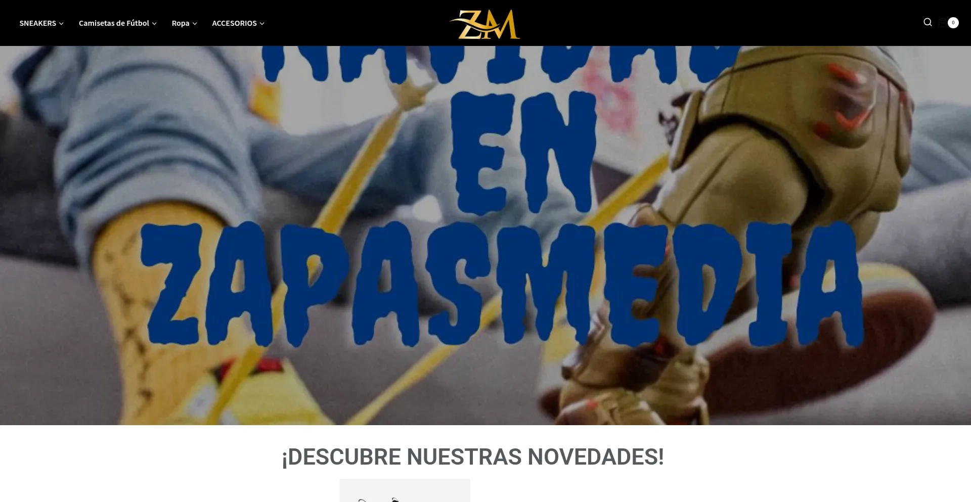 Website screenshot of Zapasmedia.com