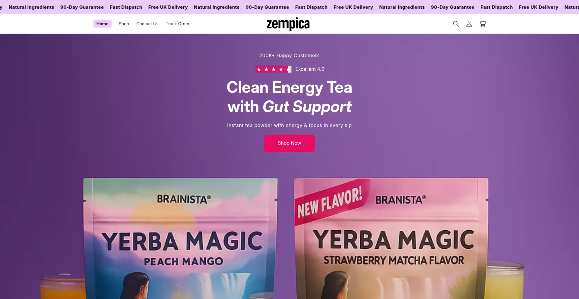 Website screenshot of Zempica.co.uk