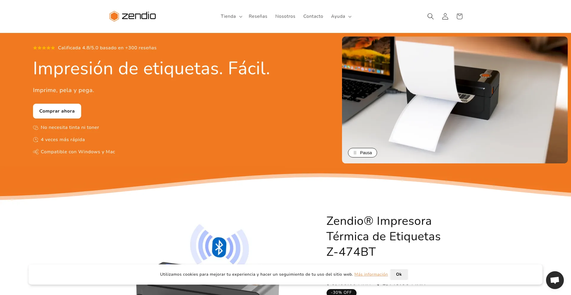 Website screenshot of Zendio.mx