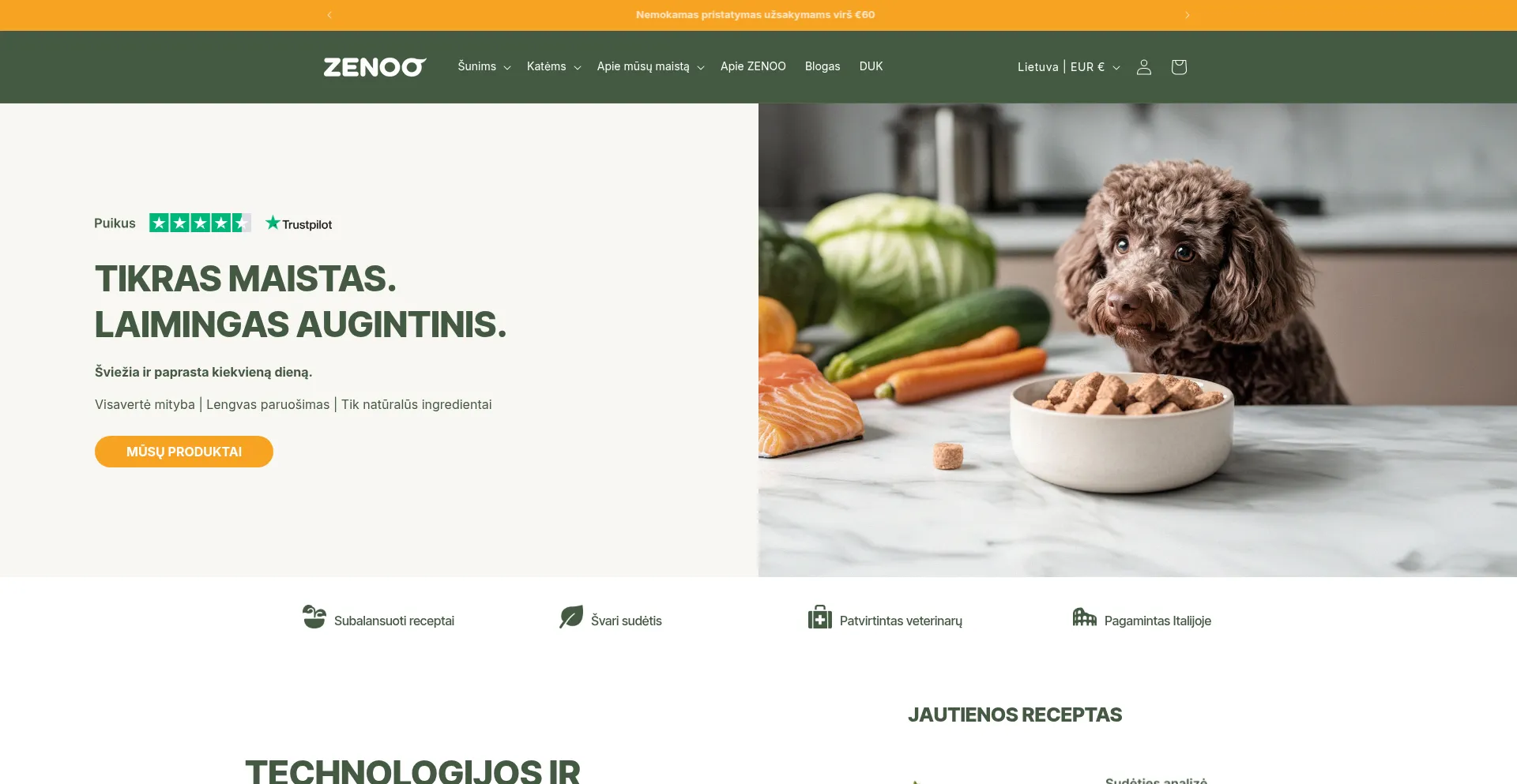 Website screenshot of Zenoo.lt