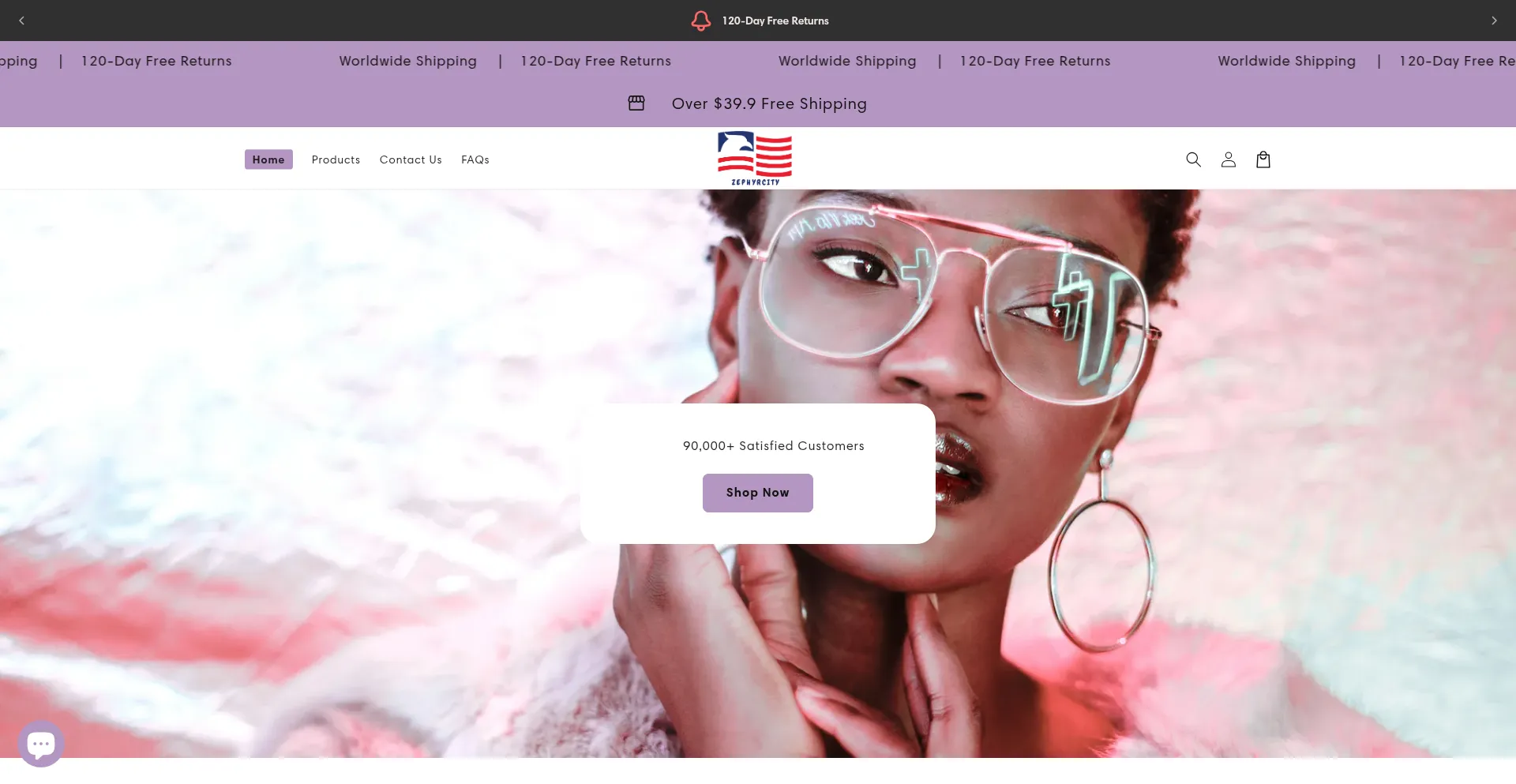 Website screenshot of Zephyrcity.com