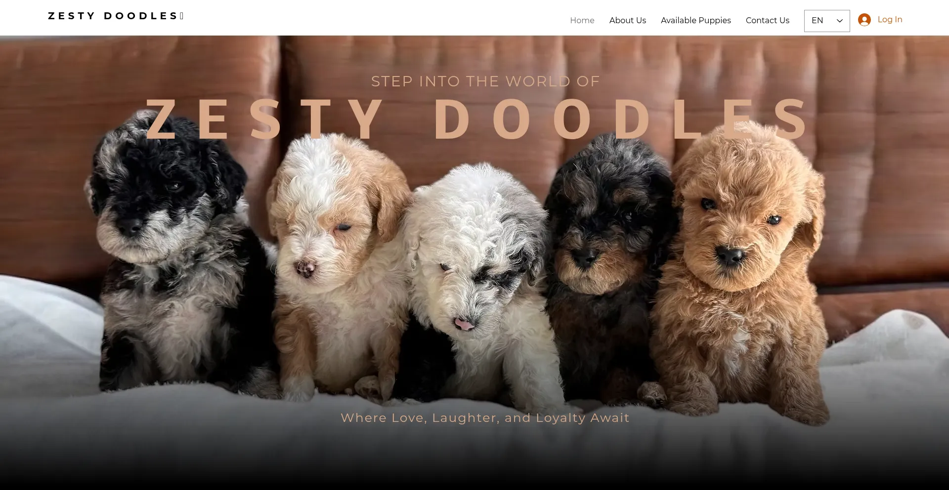 Website screenshot of Zestydoodles.com