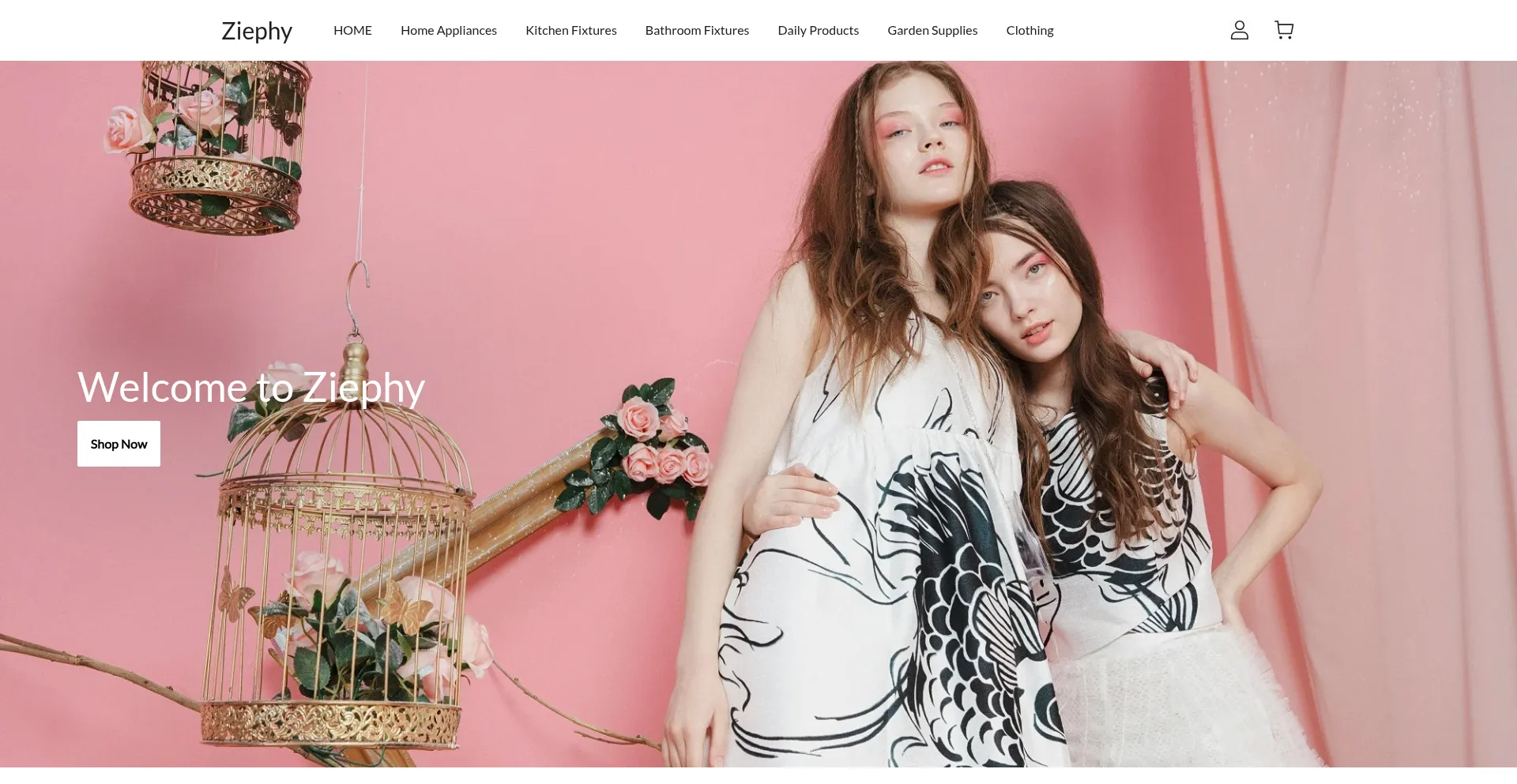 Website screenshot of Ziephy.shop