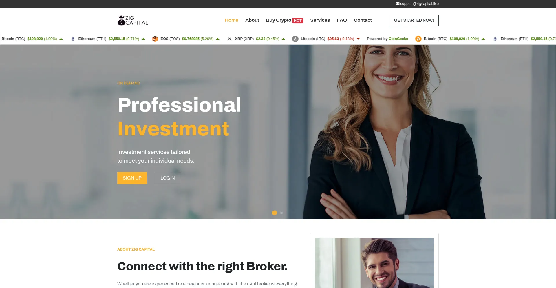 Website screenshot of Zigcapital.live