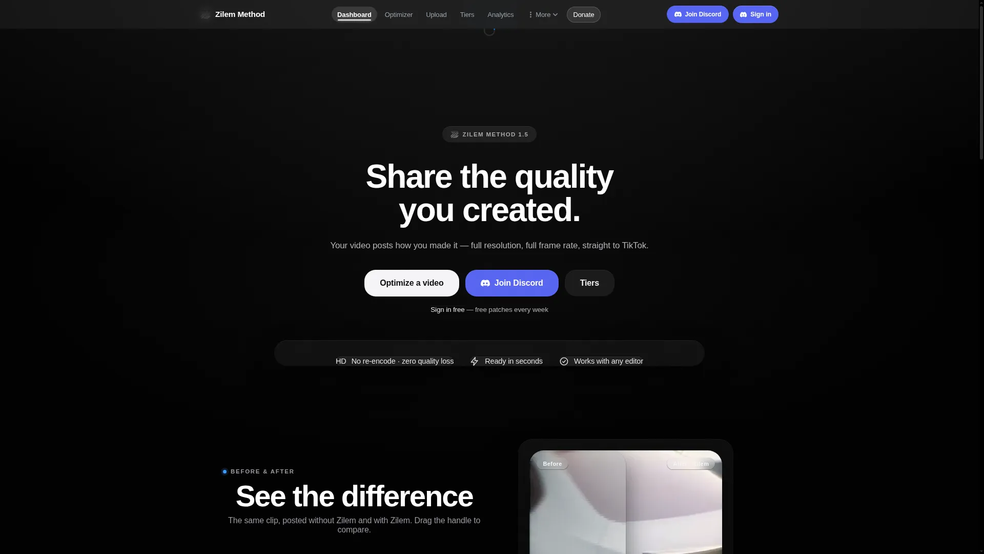 Zilemmethod.com