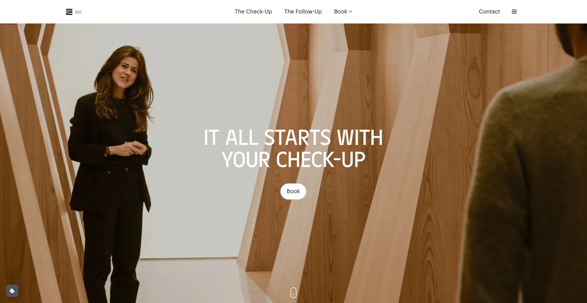 Website screenshot of Zoi.com