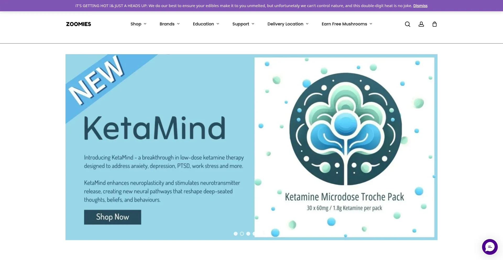 Website screenshot of Zoomiescanada.ca
