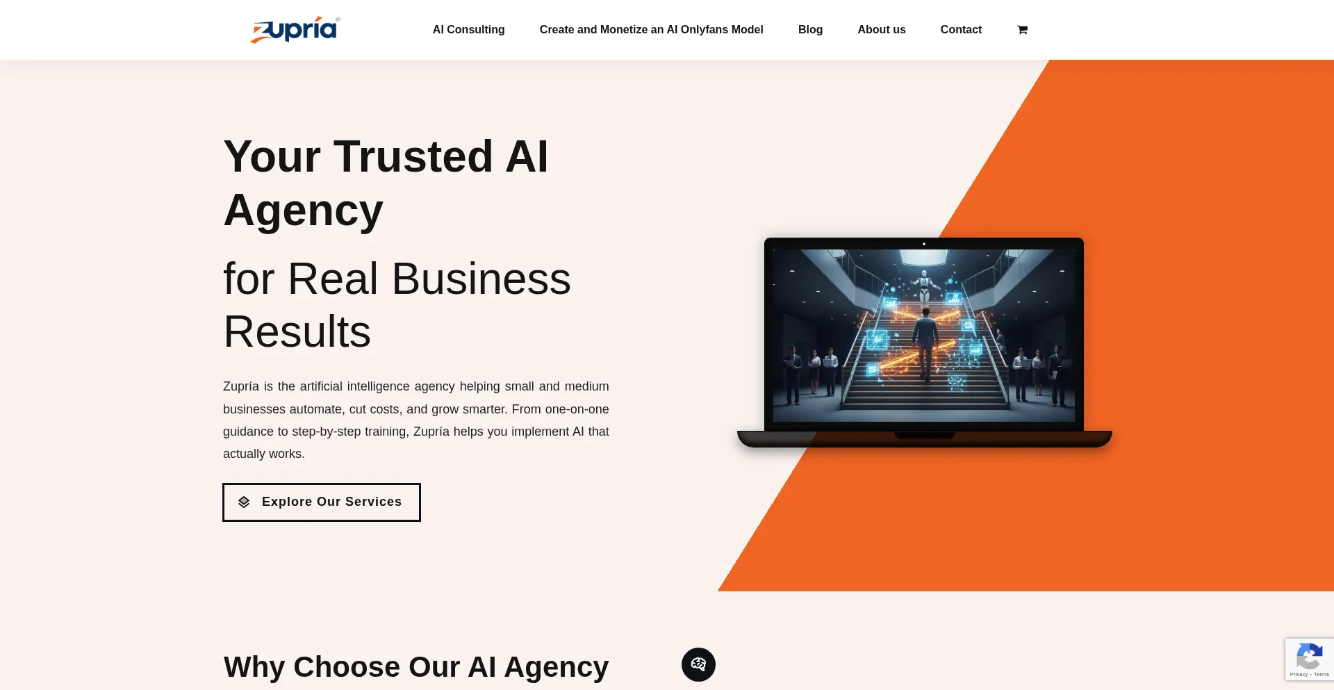 Website screenshot of Zupria.com